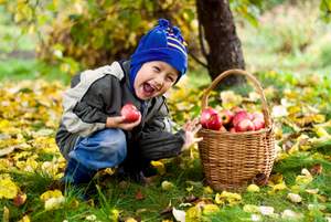 happy boy picking apples